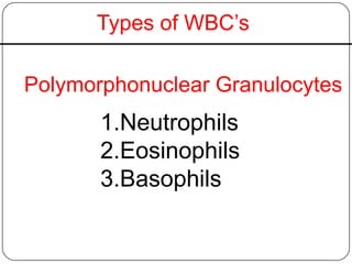 Types of WBC’s
Polymorphonuclear Granulocytes
1.Neutrophils
2.Eosinophils
3.Basophils
 