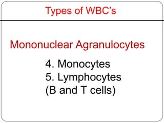 Types of WBC’s
Mononuclear Agranulocytes
4. Monocytes
5. Lymphocytes
(B and T cells)
 