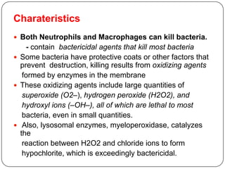Charateristics
 Both Neutrophils and Macrophages can kill bacteria.
- contain bactericidal agents that kill most bacteria
 Some bacteria have protective coats or other factors that
prevent destruction, killing results from oxidizing agents
formed by enzymes in the membrane
 These oxidizing agents include large quantities of
superoxide (O2–), hydrogen peroxide (H2O2), and
hydroxyl ions (–OH–), all of which are lethal to most
bacteria, even in small quantities.
 Also, lysosomal enzymes, myeloperoxidase, catalyzes
the
reaction between H2O2 and chloride ions to form
hypochlorite, which is exceedingly bactericidal.
 