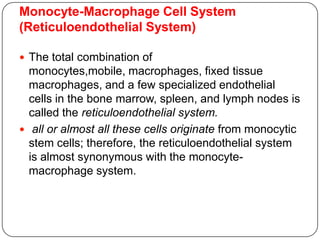 Monocyte-Macrophage Cell System
(Reticuloendothelial System)
 The total combination of
monocytes,mobile, macrophages, fixed tissue
macrophages, and a few specialized endothelial
cells in the bone marrow, spleen, and lymph nodes is
called the reticuloendothelial system.
 all or almost all these cells originate from monocytic
stem cells; therefore, the reticuloendothelial system
is almost synonymous with the monocyte-
macrophage system.
 