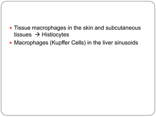 Tissue macrophages in the skin and subcutaneous
tissues  Histiocytes
 Macrophages (Kupffer Cells) in the liver sinusoids
 