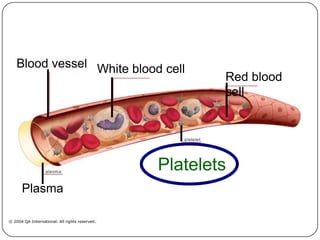 Blood vessel
Red blood
cell
Plasma
White blood cell
Platelets
 