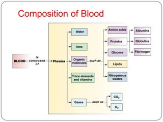 Composition of Blood
 