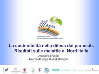 La sostenibilità nella difesa dai parassiti.
  Risultati sulle malattie al Nord Italia
                 Agostino Brunelli
          Università degli studi di Bologna


                                              1
 