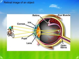 Retinal image of an object 