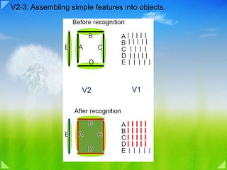 V2-3: Assembling simple  features into objects. V1 V2 