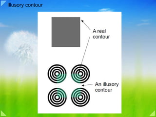 Illusory contour 