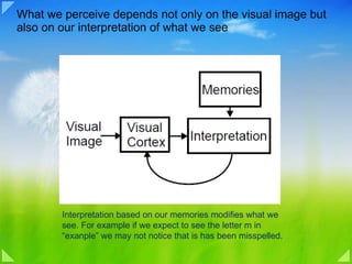 What we perceive depends not only on the visual image but also on our interpretation of what we see Interpretation based on our memories modifies what we see. For example if we expect to see the letter m in “exanple” we may not notice that is has been misspelled. 