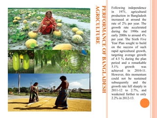 PERFORMANCEOFBANGLADESH
AGRICULTURE
Following independence
in 1971, agricultural
production in Bangladesh
increased at around the
rate of 2% per year. The
growth rate accelerated
during the 1990s and
early 2000s to around 4%
per year. The Sixth Five
Year Plan sought to build
on the success of such
rapid agricultural growth,
targeting average growth
of 4.5 % during the plan
period and a remarkable
5.1% growth was
achieved in 2010-11.
However, this momentum
could not be sustained
subsequently and the
growth rate fell sharply in
2011-12 to 2.7%, and
weakened further to only
2.2% in 2012-13.
 