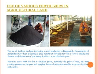 USE OF VARIOUS FERTILIZERS IN
AGRICULTURAL LAND
The use of fertilizer has been increasing in crop production in Bangladesh. Governments of
Bangladesh have been allocating a good number of subsidies for with a view to making the
farmers avail themselves of purchasing fertilizers at an affordable price.
However, since 2008 the rise in fertilizer prices, especially the price of urea, has been
exerting pressure on the poor and marginal farmers leaving them unable to procure fertilizer
sufficiently.
 