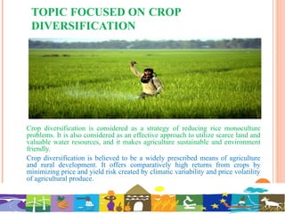 TOPIC FOCUSED ON CROP
DIVERSIFICATION
Crop diversification is considered as a strategy of reducing rice monoculture
problems. It is also considered as an effective approach to utilize scarce land and
valuable water resources, and it makes agriculture sustainable and environment
friendly.
Crop diversification is believed to be a widely prescribed means of agriculture
and rural development. It offers comparatively high returns from crops by
minimizing price and yield risk created by climatic variability and price volatility
of agricultural produce.
 