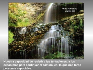 Chutes Cathédrale,
                                            Virginie, USA




Nuestra capacidad de resistir a las tentaciones, a los
desánimos para continuar el camino, es lo que nos torna
personas especiales.
 