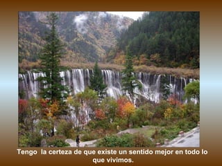 Tengo la certeza de que existe un sentido mejor en todo lo
                      que vivimos.
 