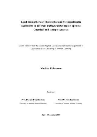 Dissertation matthias stripf picture
