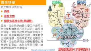 微生物學 植物界 動物界
原生生物界
原核生物界 ( 共同祖先 )
菌物界
微生物學研究包括 :
⚫ 病毒
⚫ 原核生物
⚫ 簡單的真核生物(單細胞)
目前，微生物學的最主要工作是用生
物化學和遺傳學方法完成的。由於很
多病原（像是造成植物病害的病原）
都可以算是廣義的微生物，微生物學
也和病理學、免疫學和流行病學密切
相關。微生物學對生物學和醫學也有
基礎性的貢獻，尤其在生物化學、遺
傳學和細胞生物學領域。
https://zh.wikipedia.org/wiki/微生物学
 