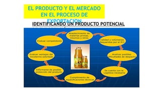 EL PRODUCTO Y EL MERCADO
EN EL PROCESO DE
EXPORTACION
IDENTIFICANDO UN PRODUCTO POTENCIAL
DE EXPORTACIÓN
 