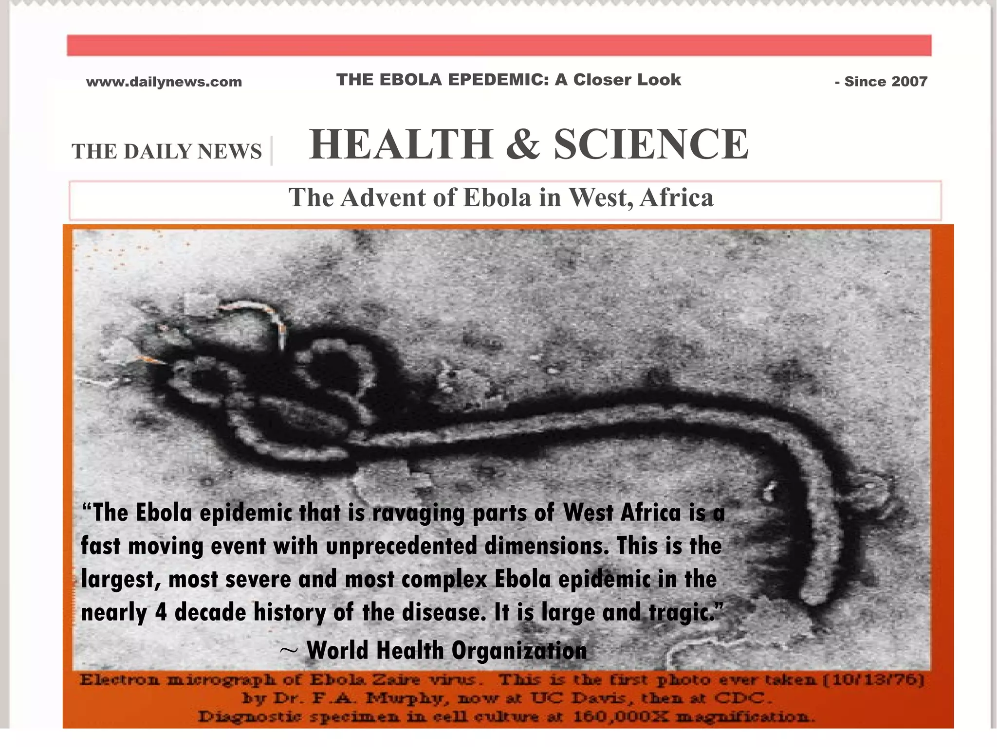 THE DAILY NEWS | HEALTH & SCIENCE
www.dailynews.com THE EBOLA EPEDEMIC: A Closer Look - Since 2007
The Advent of Ebola in West, Africa
“The Ebola epidemic that is ravaging parts of West Africa is a
fast moving event with unprecedented dimensions. This is the
largest, most severe and most complex Ebola epidemic in the
nearly 4 decade history of the disease. It is large and tragic.”
~ World Health Organization
 