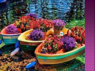 08 de marco dia internacional da mulher