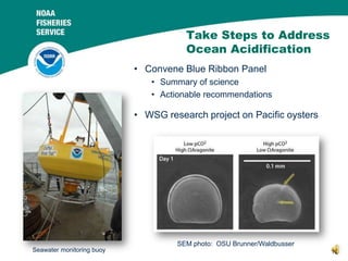 Take Steps to Address
Ocean Acidification
• Convene Blue Ribbon Panel
• Summary of science
• Actionable recommendations

•...