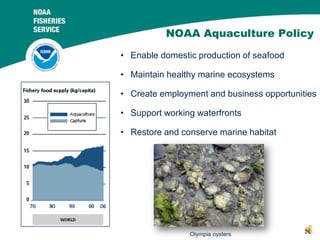 NOAA Aquaculture Policy
• Enable domestic production of seafood
• Maintain healthy marine ecosystems
• Create employment a...