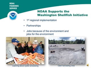 NOAA Supports the
Washington Shellfish Initiative
• 1st regional implementation
• Partnerships
• Jobs because of the envir...