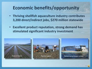 Economic benefits/opportunity
• Thriving shellfish aquaculture industry contributes
3,200 direct/indirect jobs, $270 milli...