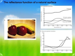 The reflectance function of a natural surface 