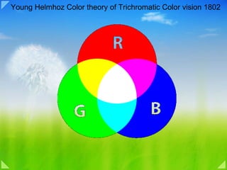 Young Helmhoz Color theory of Trichromatic Color vision 1802 