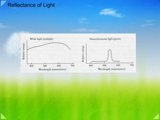 Reflectance of Light 