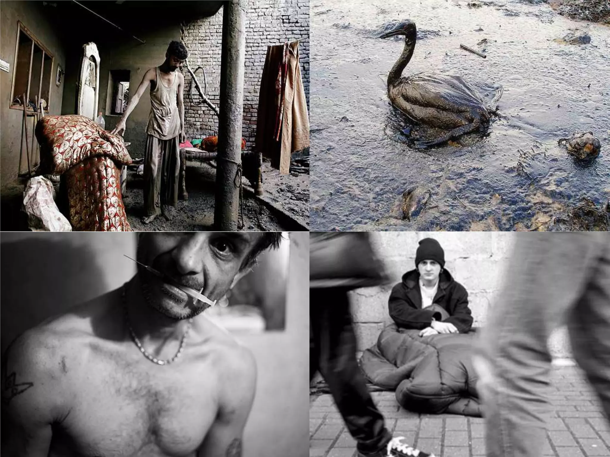 © Norm Tasevski & Assaf Weisz




                   15
 