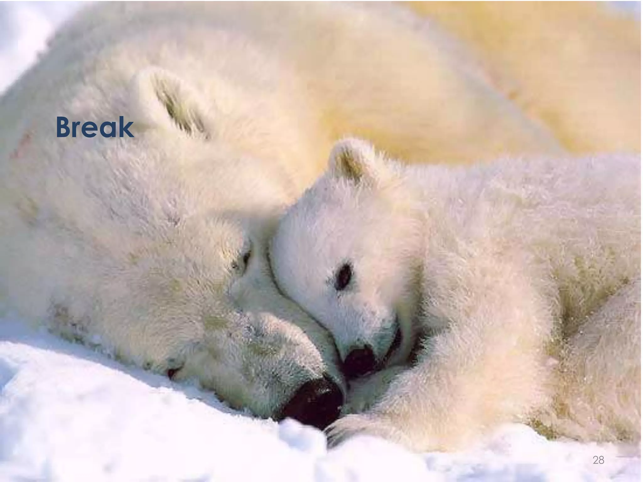 Break




        28
 