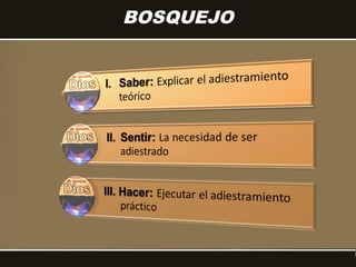 BOSQUEJO
 