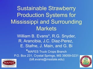Sustainable Strawberry
Production Systems for
Mississippi and Surrounding
Markets
William B. Evans*, R.G. Snyder,
R. Arancibia, J.C. Diaz-Perez,
E. Stafne, J. Main, and G. Bi
*MAFES Truck Crops Branch
P.O. Box 231, Crystal Springs, MS 39059-0231
(bill.evans@msstate.edu)
 