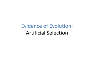 08 evidence of evolution artificial selection | PPTX