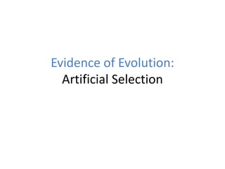Evidence of Evolution:
Artificial Selection

 