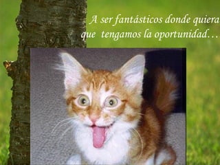 A ser fantásticos donde quiera
que tengamos la oportunidad…
 