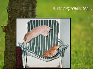 A ser sorprendentes…
 