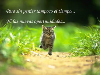 Pero sin perder tampoco el tiempo...
Ni las nuevas oportunidades...
 