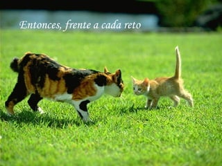 Entonces, frente a cada reto
 