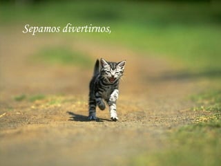 Sepamos divertirnos,
 