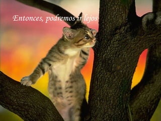 Entonces, podremos ir lejos
 