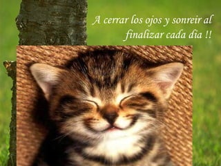 A cerrar los ojos y sonreir al
       finalizar cada dia !!
 