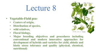 Lecture 8
• Vegetable-Field pea-
• Centers of origin,
• Distribution of species,
• wild relatives,
• Floral biology,
• Major breeding objectives and procedures including
conventional and modern innovative approaches for
development of hybrids and varieties for yield, abiotic and
biotic stress tolerance and quality (physical, chemical,
nutritional)
 
