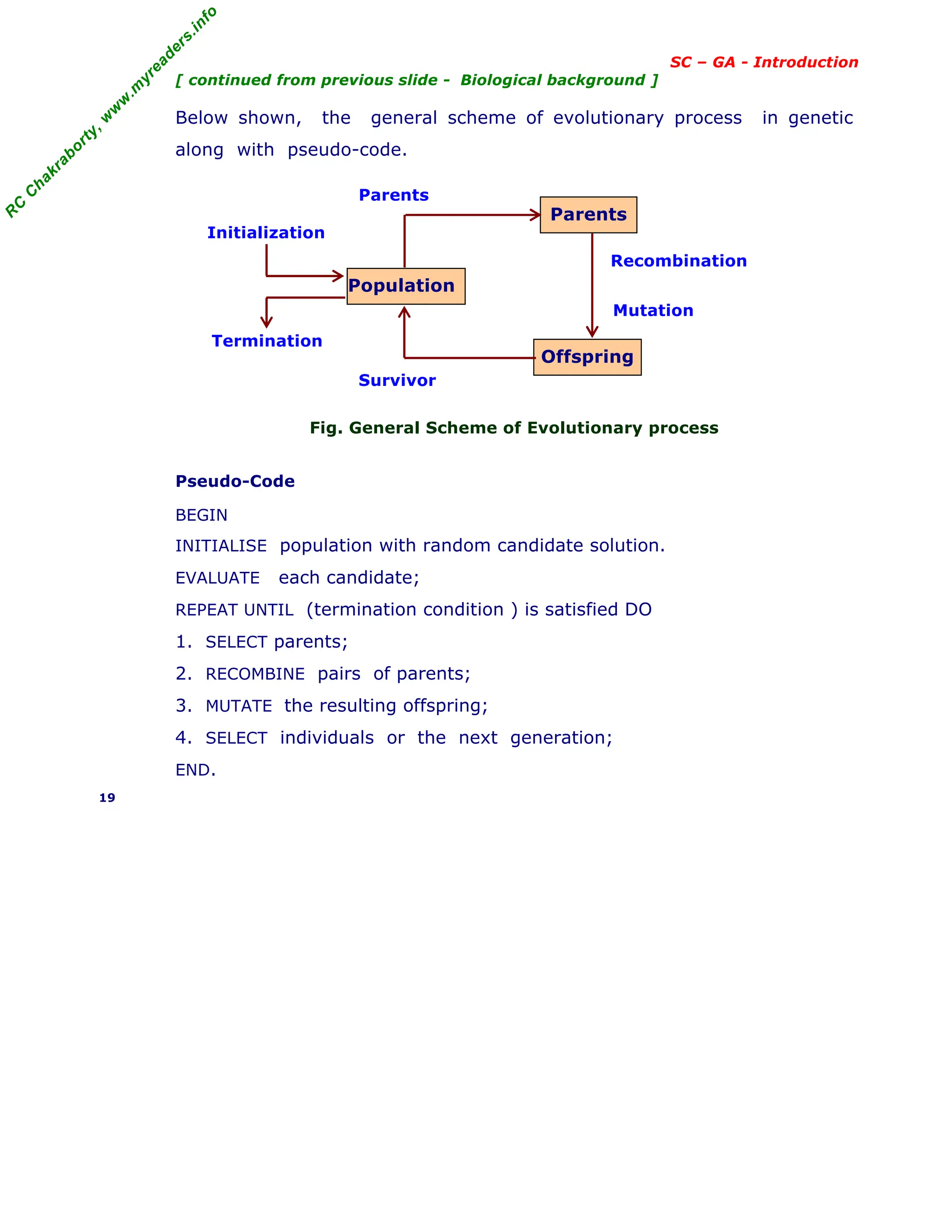 R
C
C
h
a
k
r
a
b
o
r
t
y
,
w
w
w
.
m
y
r
e
a
d
e
r
s
.
i
n
f
o
SC – GA - Introduction
[ continued from previous slide - Biological background ]
Below shown, the general scheme of evolutionary process in genetic
along with pseudo-code.
Fig. General Scheme of Evolutionary process
Pseudo-Code
BEGIN
INITIALISE population with random candidate solution.
EVALUATE each candidate;
REPEAT UNTIL (termination condition ) is satisfied DO
1. SELECT parents;
2. RECOMBINE pairs of parents;
3. MUTATE the resulting offspring;
4. SELECT individuals or the next generation;
END.
19
Parents
Offspring
Population
Recombination
Mutation
Parents
Termination
Initialization
Survivor
 