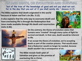 “but of the tree of the knowledge of good and evil you shall not eat,
for in the day that you eat of it you shall surely die.” (Genesis 2:17)
The Bible explains that death originated in this world
because of Adam and Eve’s sin (Ro. 5:12).
It also explains that the only way to overcome death and
have everlasting life is through the Redemption that
Jesus made available through His death and resurrection
(John 6:40).
On the contrary, the theory of evolution states that
humans were “created” through many cycles of fight for
survival and death. In that case, death would be inherent
to life.
If we accept the theory of evolution, we’re accepting
death as part of the creation process. That would mean
that a Redeemer would no longer be needed, because
death wouldn’t be a consequence of sin.
The Bible reveals God’s plan of
Salvation and gives us the promise of
everlasting life in Christ.
 