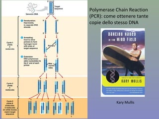 Figura 8.7
Peter J Russell, Genetica © 2010 Pearson Italia S.p.A
Creazione di banche
genomiche
 