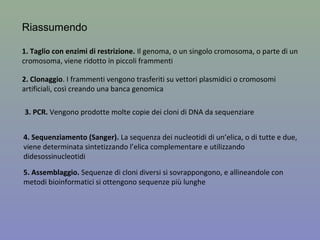 Figura 8.11 (b)
(c)
Peter J Russell, Genetica © 2010 Pearson Italia S.p.A
Il sequenziatore automatico
riconosce le λ delle fluorescenze
associate ad ogni
didesossinucleotide, e produce un
grafico in cui il colore di ciascun
picco indica la base nella sequenza
 