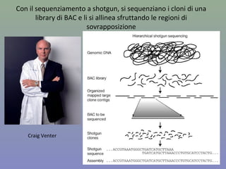 Next-Generation Sequencing (NGS)
 