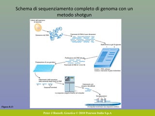 Next-Generation Sequencing (NGS)
 