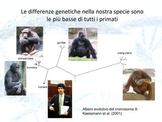 Allineando e confrontando più genomi si individuano
polimorfismi di singolo nucleotide, o SNPs (Single-Nucleotide
Polymorphisms)
 
